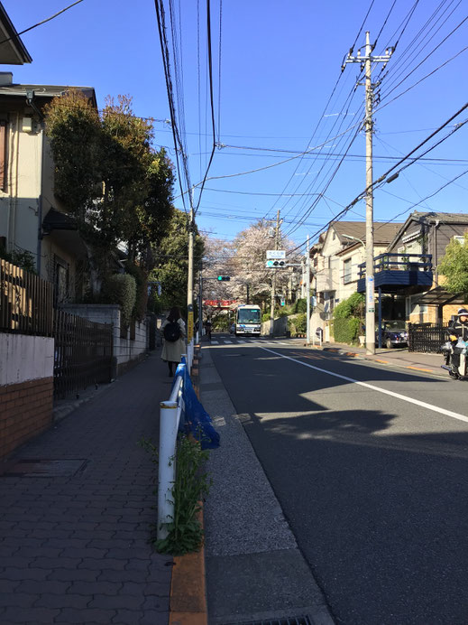 桜坂信号