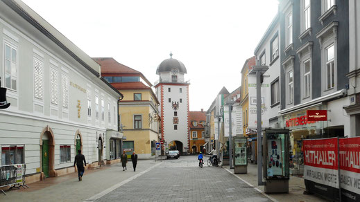 Maulturm oder Schwammerlturm