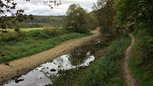 Auf dem Weg zu einer sichtbaren Versickerung (Immendingen besteht auf die Bezeichnung: Versinkung)
