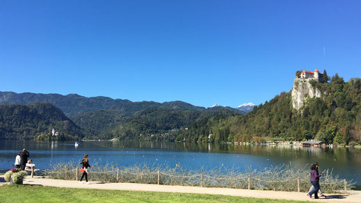 Bleder See