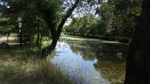 abseits der Loire