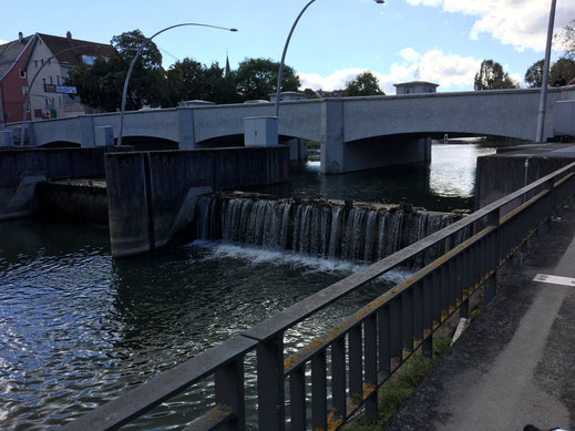 Umstrittenes Wehr in Tuttlingen