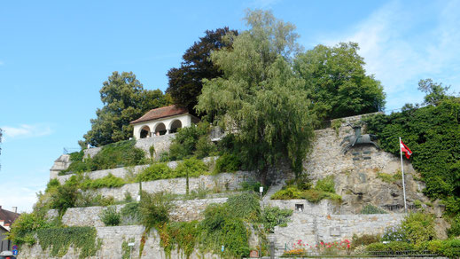 Blick hoch zum Schlossgarten