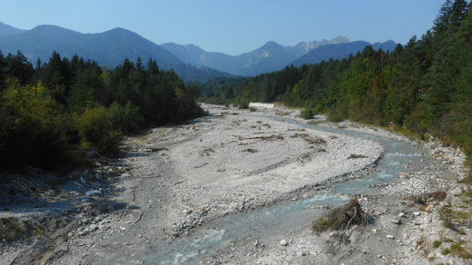 Zufluß zur Drau