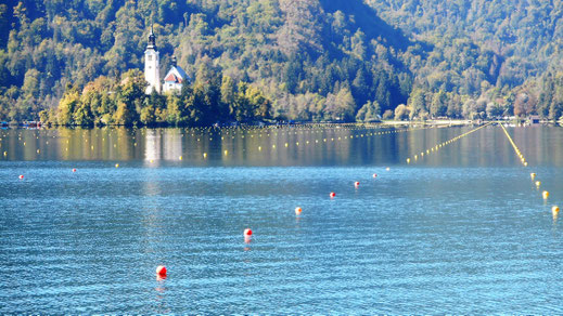Bleder See