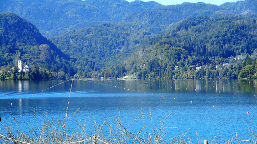 Bleder See