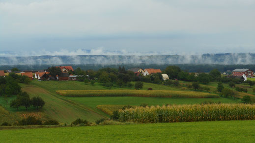 Alles dampft