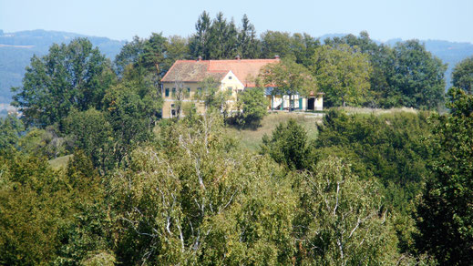 Eine Idylle. Schwimmbad dazu, schöner Wein in der Umgebung, Kernöl, Blick in die Ferne. Das wär's. Mitten in der Thermenregion.