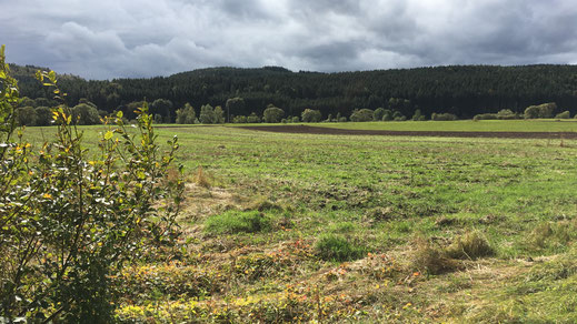 Vor Immendingen