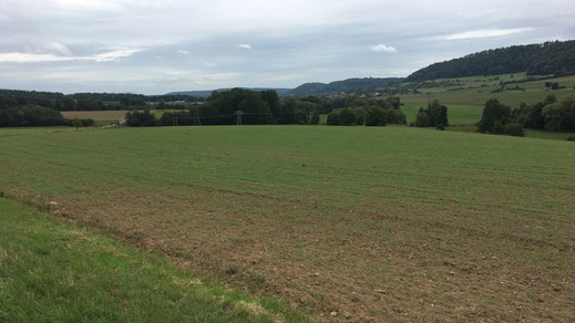 Vor Ebenhards