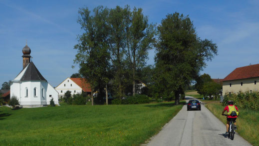 Begleitung in Pink/Gelb bis Schärding