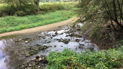 Hier vor mir verschwindet das Wasser. Es fließt von links nach rechts und wieder zurück und verschwindet in einer Doline, fließt zum Achtopf und weiter in den Rhein.