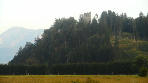 Burgruine Rosegg Reste des Bergfrieds