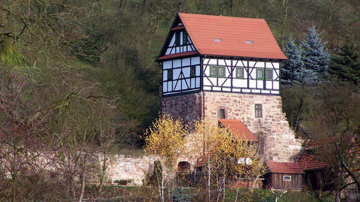 Wasungen, Pfaffenburg