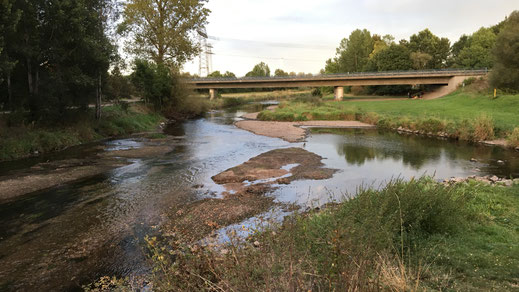 Brigach und Breg bringen die Donau zuweg