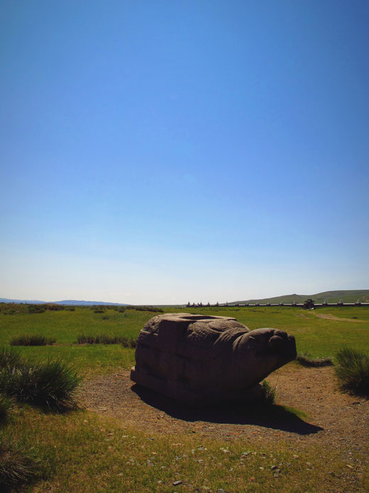 mongolie bigousteppes tortue kharkhorin