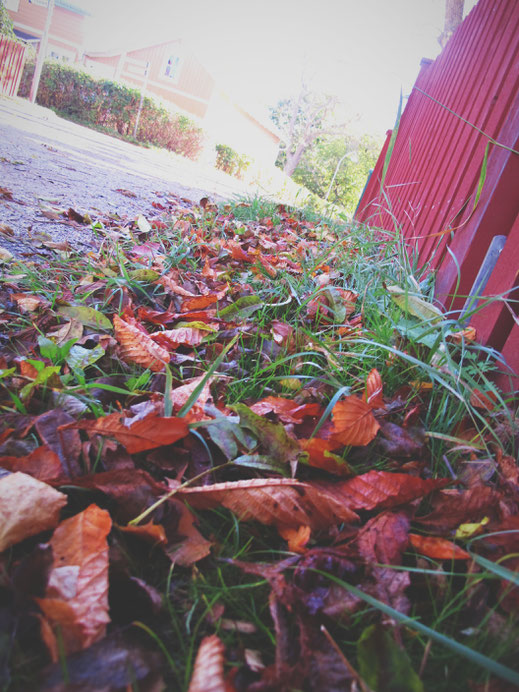 suède bigousteppes vaxholm feuilles mortes rouge bois orange