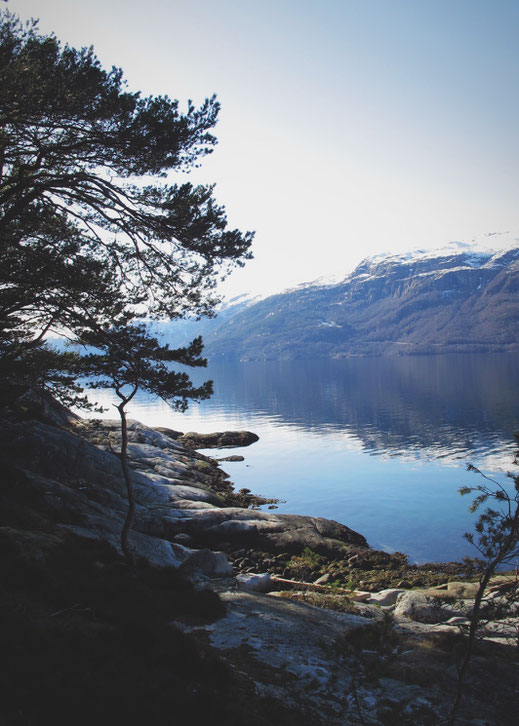 bigousteppes norvège