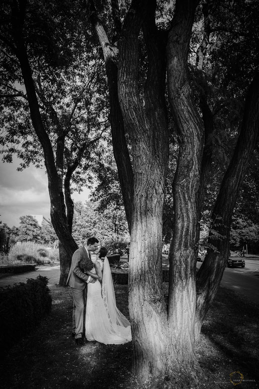 Heiraten im Lindner Park-Hotel Hagenbeck