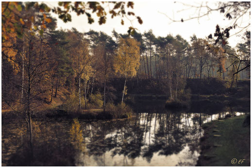 Herbst am Anglerteich