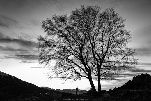 Photo noir et blanc d'un enfant au pied d'un arbre en hiver dans la montagne en ombre et lumière