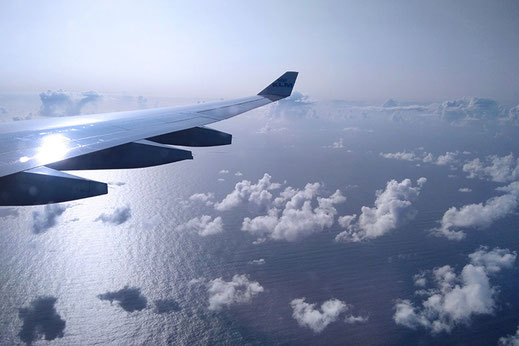 Flight to Aruba, border closures, loophole separated couples, EU and USA