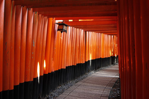 Fushimi Inari, Japan, travel guide