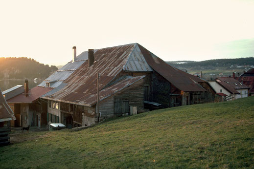 The big roof. This building combines two farms under one roof, doubled and adjoining each other. In the 19th century the building was remodelled which explains its actual size. We believe that the building was built at the end of the 16th century