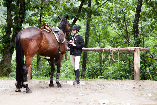 Promenade possible à cheval à la ferme des Mourènes