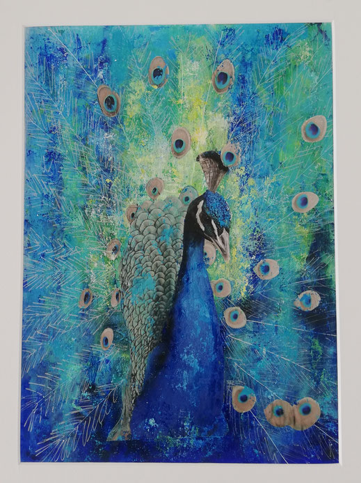 "Pfau (peackock)" Collage by Annika Peissert