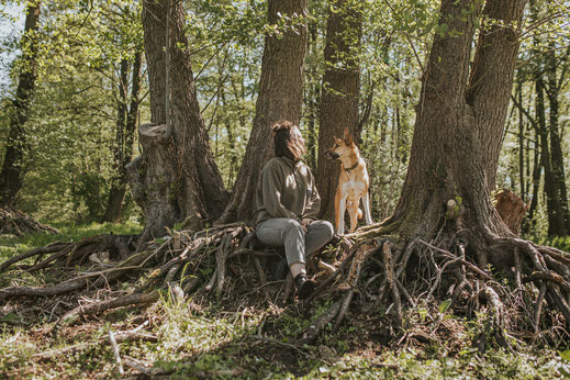 Hundefotografie Erpetal Berlin Brandenburg Frau ein Hunde natürliche Portraits mit Haustier Hundefotos 