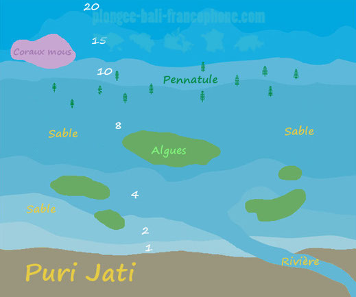 Carte du site de plongée de Puri Jati à Seririt, Bali.