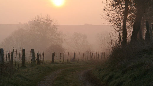 GR 125 - Somme - Picardie