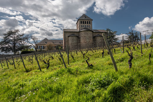 Schloss Johannisberg, Heiraten, Hochzeit, Kloster, Hochzeitslocation Wiesbaden 