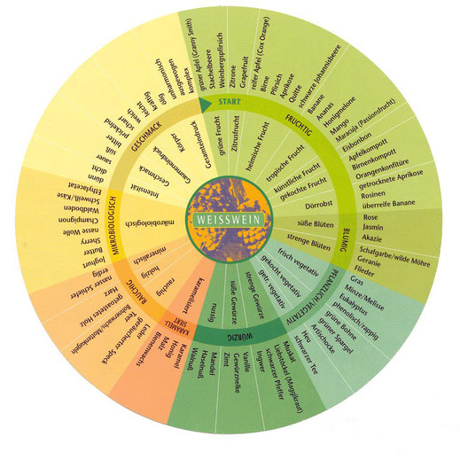 Aromen im Wein erschmecken mit dem Aromarad für Weisswein