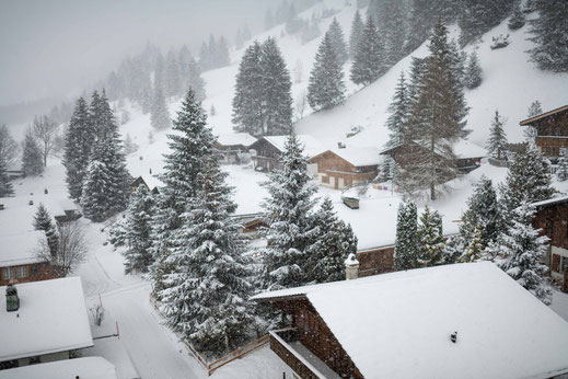 Ferienhaus im Schnee im winterlichen märchenhaften Wald bei Kandersteg in der Schweiz