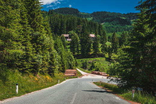 Landstraße durch die Berglandschaft und Wälder von Österreich