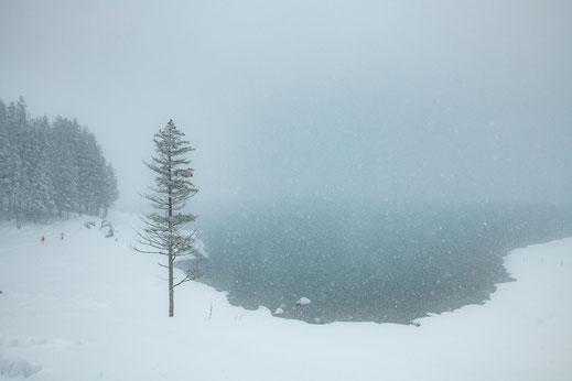 Märchenhafte Winter Landschaft am Oeschinensee in Kandersteg Schweiz - Foto für private Zwecke, Bilder für Website und Werbezwecke kostenlos lizenzfrei herunterladen.