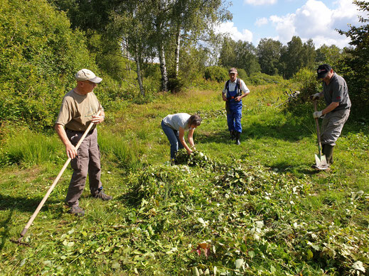 Arbeitseinsatz im Lindauer Quellmoor (Foto: Götte)