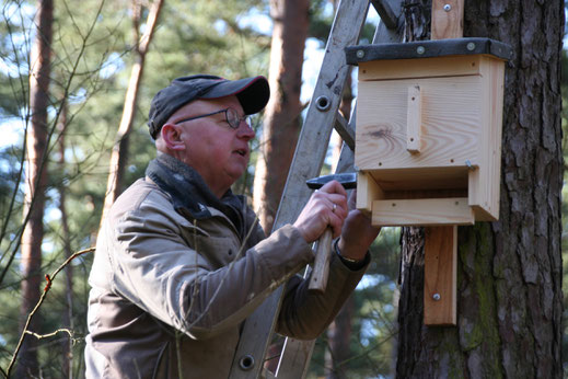 Ein neuer Fledermauskasten für den Dachsberg (Foto: Götte)