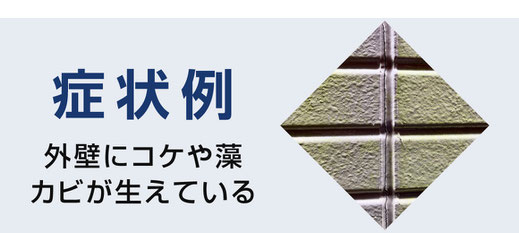 【バナー】外壁に苔・藻・カビが生えている（塗替え目安の症状例）