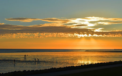 Das Bild zeigt das Wattenmeer an der Nordsee.