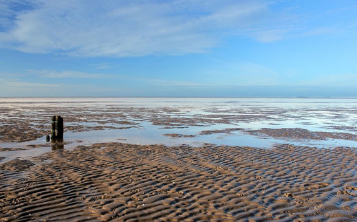Das Bild zeigt das Wattenmeer an der Nordsee.