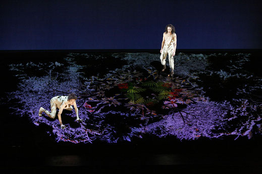 Photo du spectacle Les Enfants Sauvages