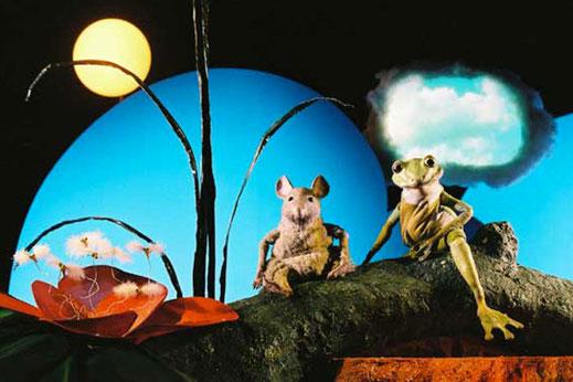 Photo du spectacle Les rêves d'une grenouille