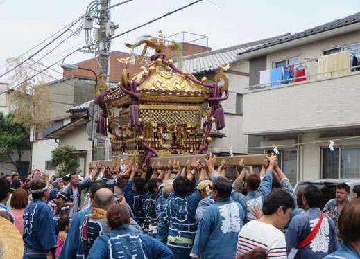  八剱八幡神社例祭,関東一の大神輿,千葉県木更津,関東三大神輿