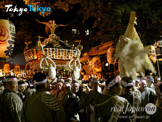 鳥越祭, 鳥越まつり, 本社千貫神輿渡御, 鳥越神社, 鳥越の夜祭り, 宮入
