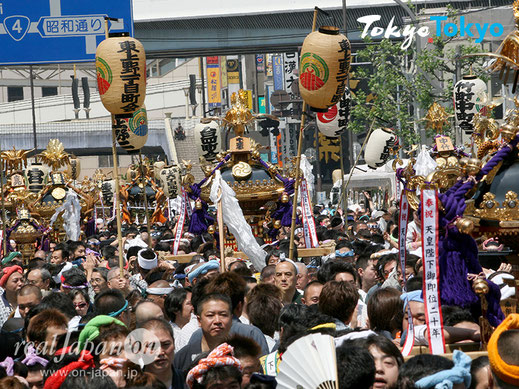 下谷神社大祭, 2025年度, 各町神輿連合渡御, 上野神輿, 御徒町, アメ横神輿渡御, 