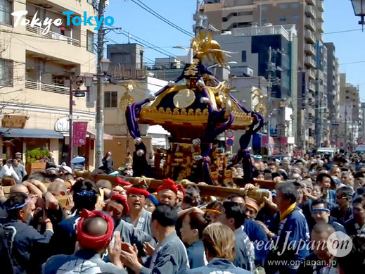 根津神社, 根津つつじ祭り, 文京つつじまつり, つつじまつり,文京区,神輿渡御, 根津祭友会