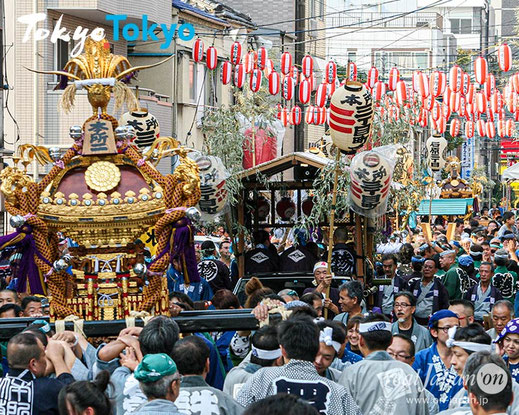 牛嶋神社祭礼,摂社若宮,大神輿連合宮入,牛嶋神社例大祭,本所